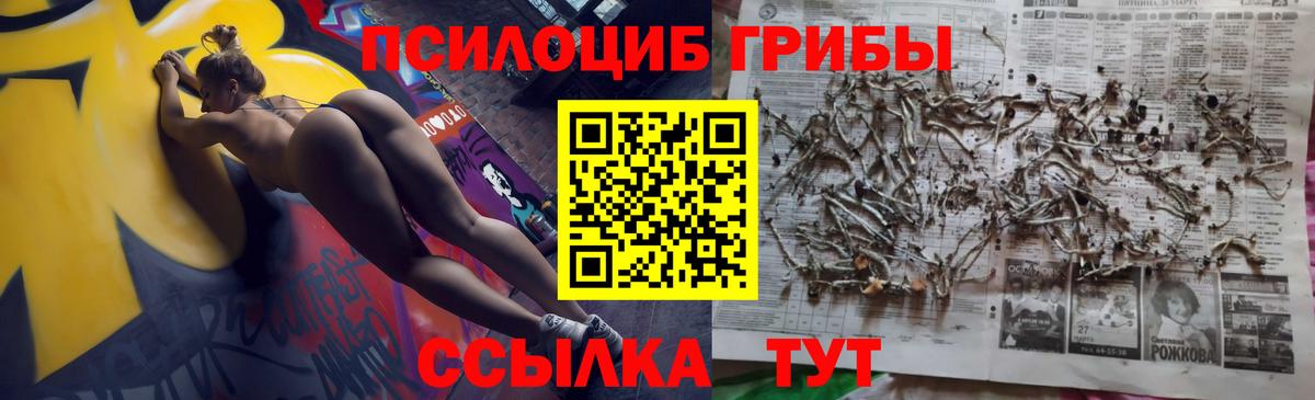 Галлюциногенные грибы Magic Shrooms  Галлюциногенные грибы Magic Shrooms  Вход с VPN  Ульяновск 